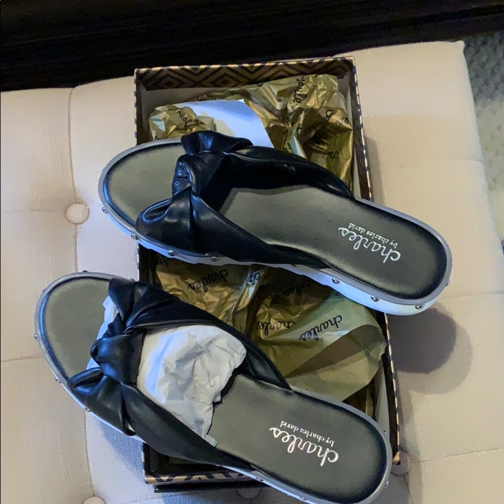 NWT Charles slides